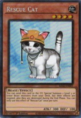 Rescue Cat (PCR) - RA02-EN001 - Prismatic Collector's Rare - 1st Edition