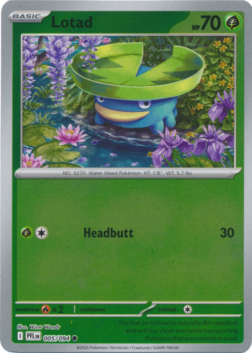 Lotad - 005/094 - Common - Reverse Holo