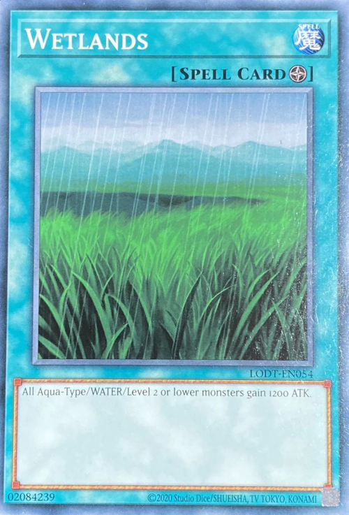 Wetlands (2020 Date Reprint) - LODT-EN054 - Common