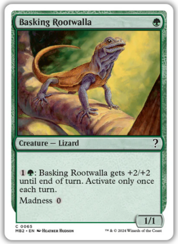 Basking Rootwalla (MB2)