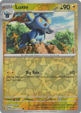 Luxio - 067/167 - Common - Reverse Holo