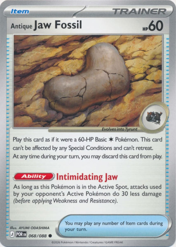 Antique Jaw Fossil - 068/088 - Common