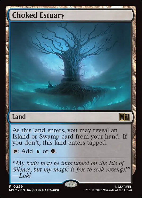 Choked Estuary (MSC)