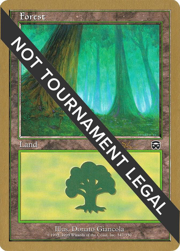 Forest (jt347) (WC01) (Jan Tomcani)