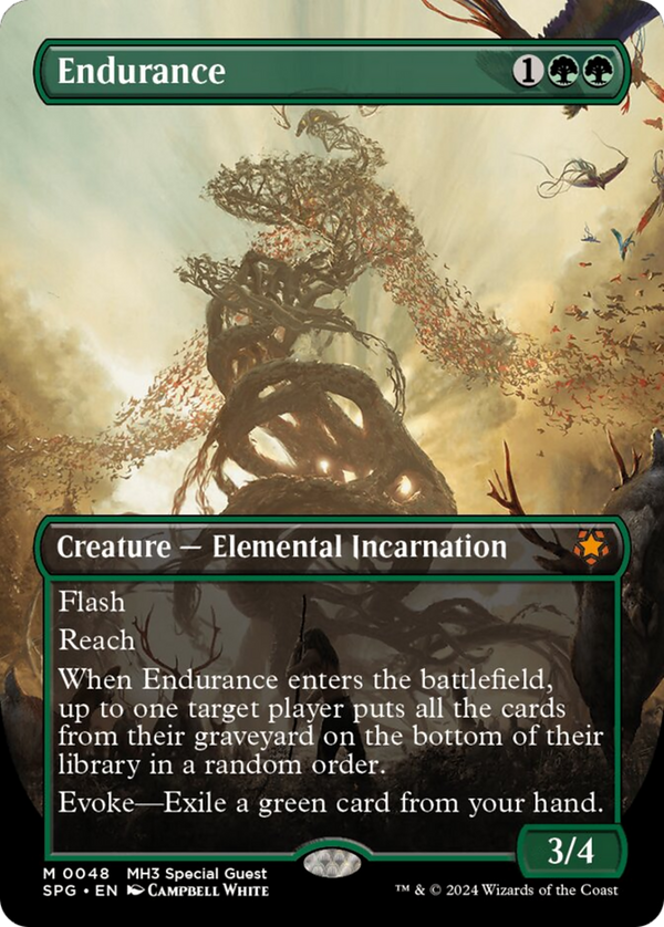 Endurance - Borderless (SPG)