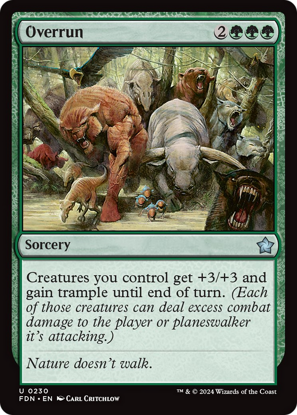 Overrun (FDN)