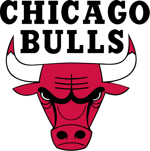 2020-21 NBA Team Set - Chicago Bulls available at 401 Games Canada