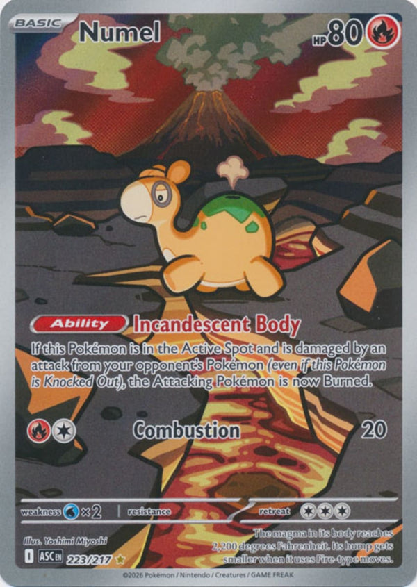 Numel - 223/217 - Illustration Rare