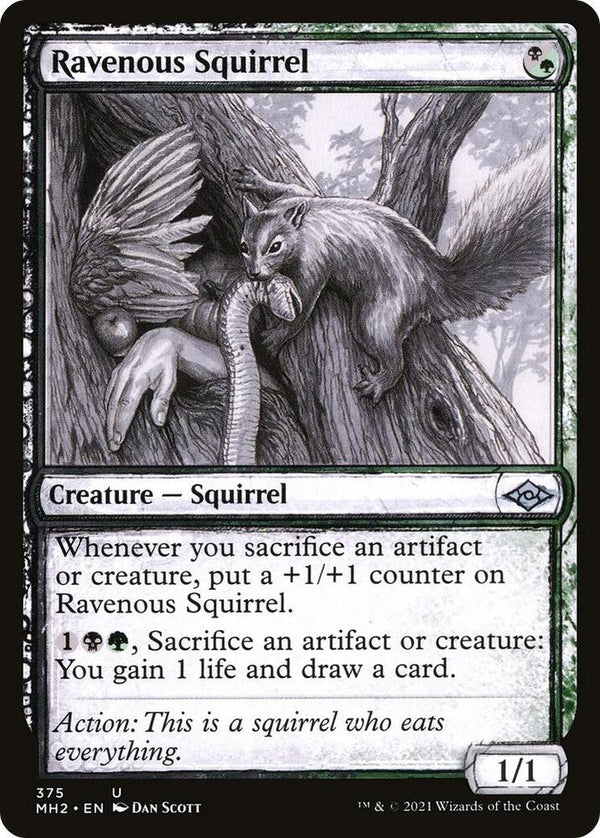 Ravenous Squirrel - Sketch Showcase (MH2)