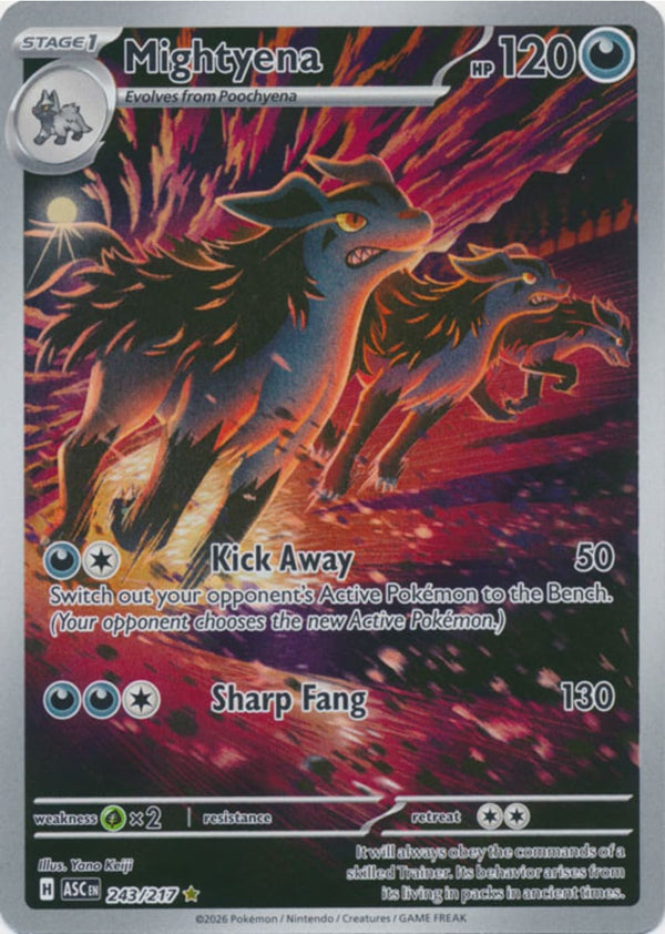 Mightyena - 243/217 - Illustration Rare