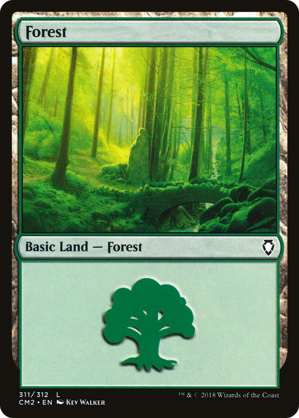 Forest (311) (CM2) (CM2)