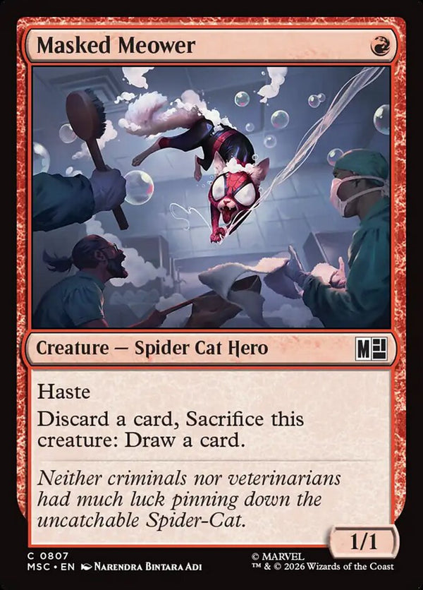 Masked Meower (MSC)