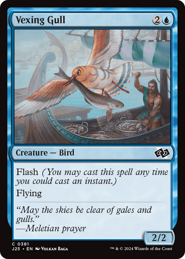 Vexing Gull (J25)