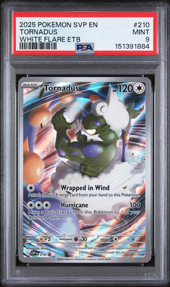 TORNADUS (210) - POKEMON SVP EN-SV BLACK STAR PROMO - WHITE FLARE ETB - MINT 9