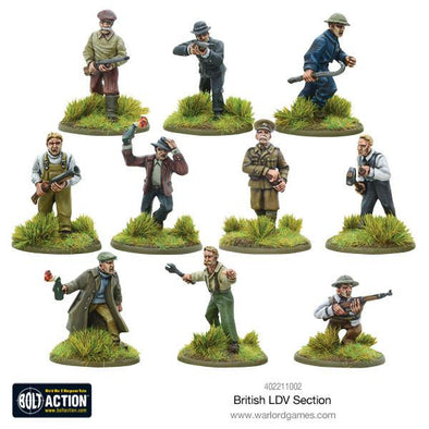 Bolt Action - Great Britain - British LDV Section