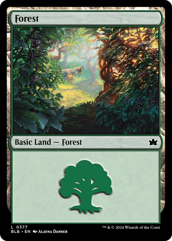 Forest (377) (BLB)