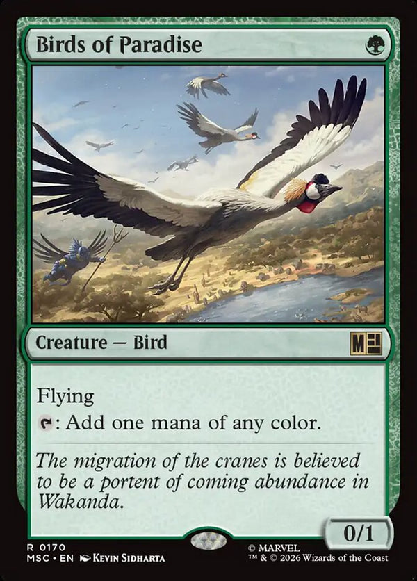 Birds of Paradise (MSC)