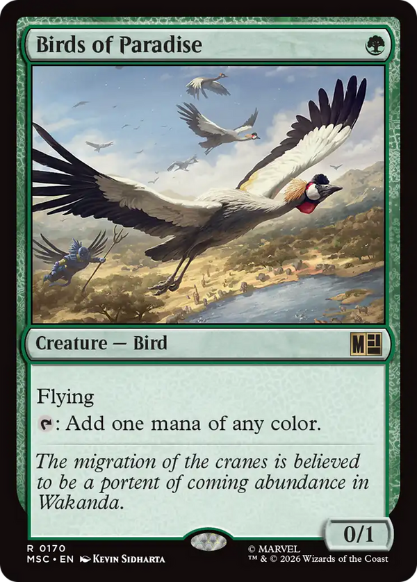 Birds of Paradise (MSC) (Pre-Order)