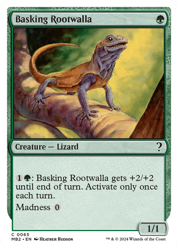 Basking Rootwalla (MB2)