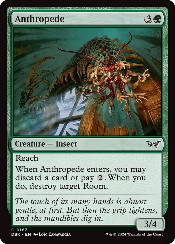 Anthropede (DSK)