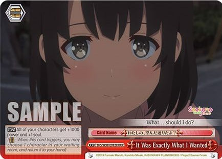 It Was Exactly What I Wanted (RRR) - SHS/W98-E082RRRR - Triple Rare