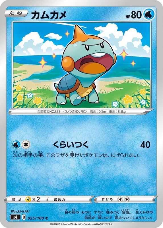 Chewtle (Japanese) - 025/100 - Common