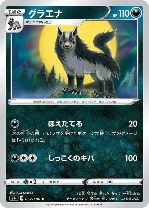 Mightyena (Japanese) - 067/100 - Common