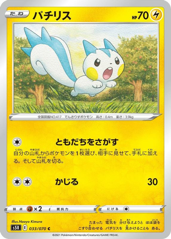 Pachirisu (Japanese) - 033/070 - Common