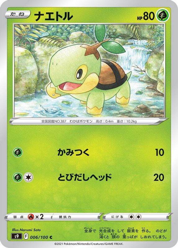 Turtwig (Japanese) - 006/100 - Common
