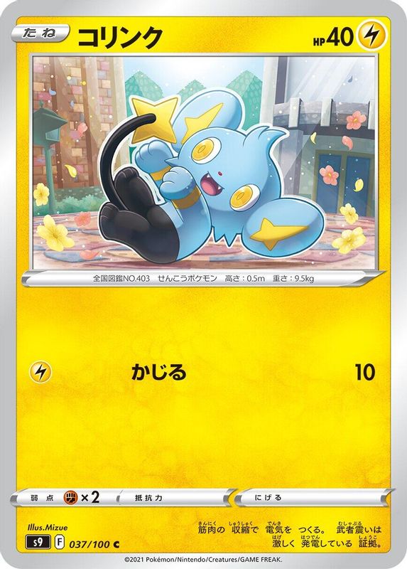 Shinx (Japanese) - 037/100 - Common