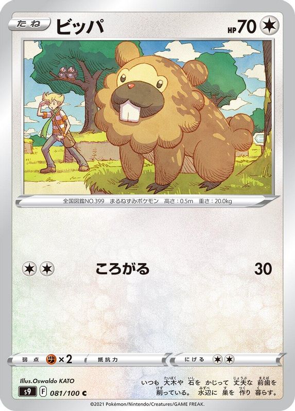Bidoof (Japanese) - 081/100 - Common