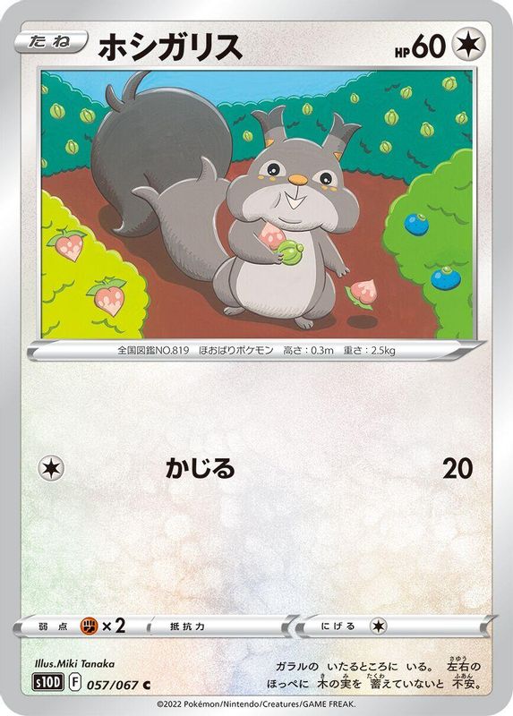 Skwovet (Japanese) - 057/067 - Common