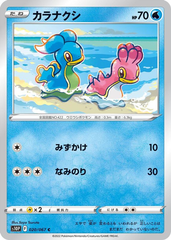 Shellos (Japanese) - 020/067 - Common