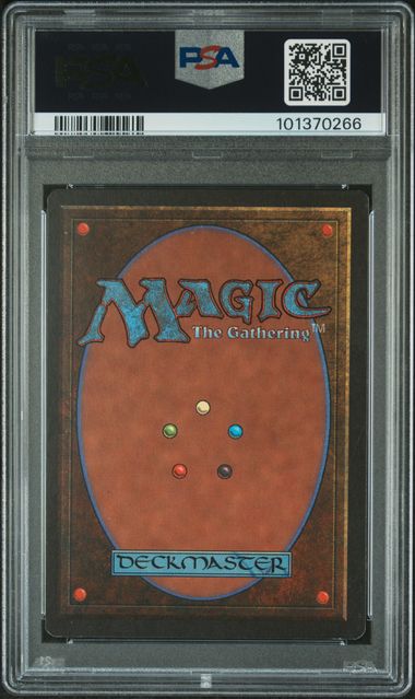 Forest (A) - Summer Magic - PSA Graded 8 101370266