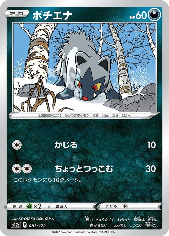Poochyena (Japanese) - 081/172 - None