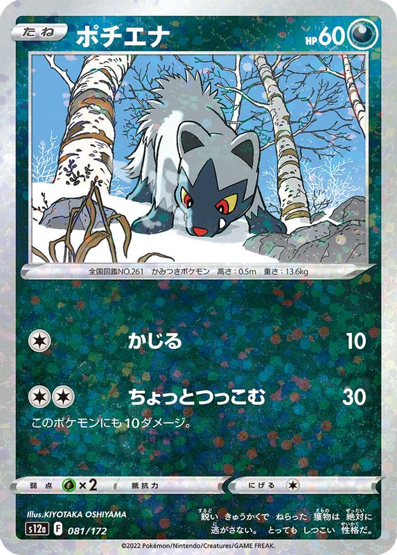 Poochyena (Japanese) - 081/172 - None