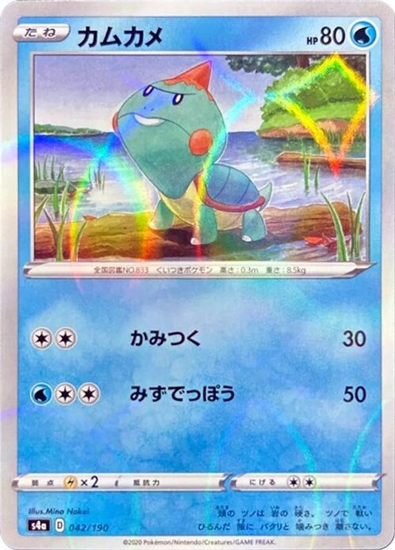 Chewtle (Japanese) - 042/190 - No Rarity