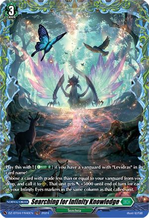 Searching for Infinity Knowledge (FR) - DZ-BT04/FR40EN - Frame Rare