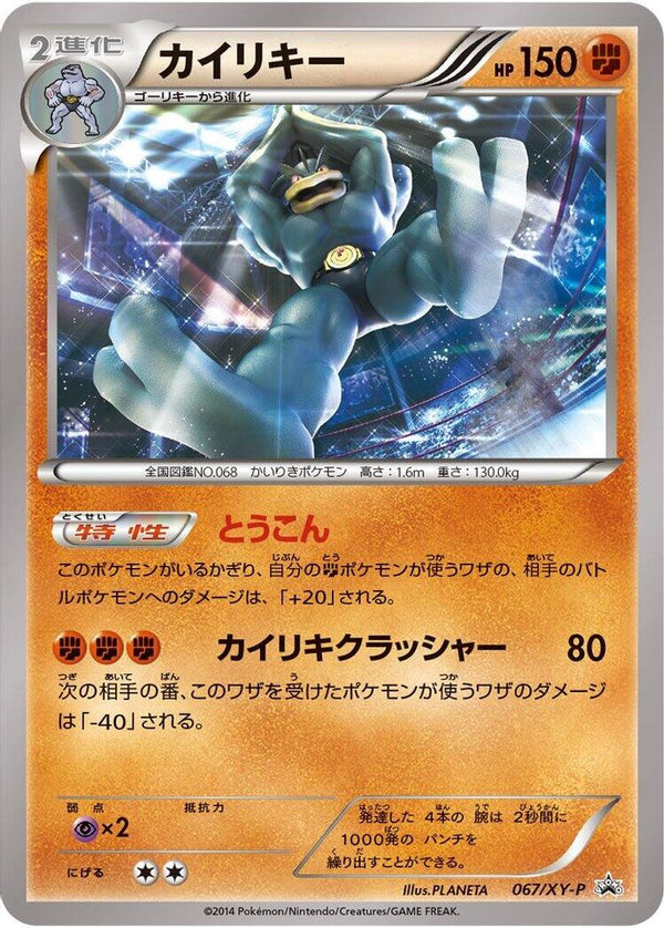Machamp (Japanese) - 067/XY-P - Promo