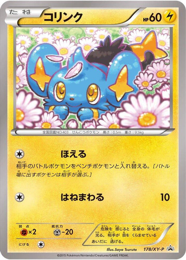 Shinx (Japanese) - 178/XY-P - Promo