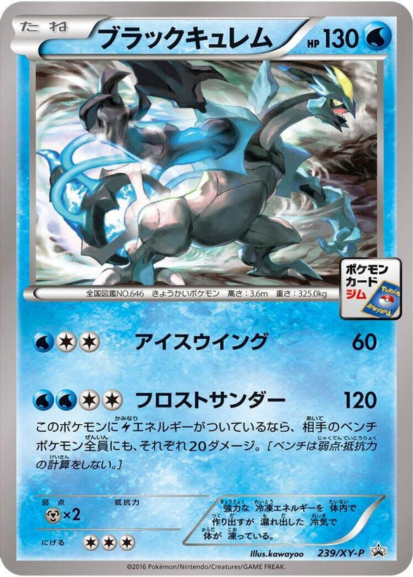 Black Kyurem (Japanese) - 239/XY-P - Promo
