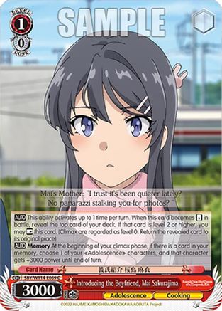 Introducing the Boyfriend, Mai Sakurajima - SBY/W114-E069C - Common