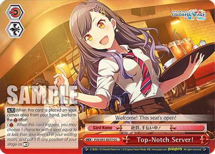 Top-Notch Server! - PJS/S91-E077CC - Climax Common