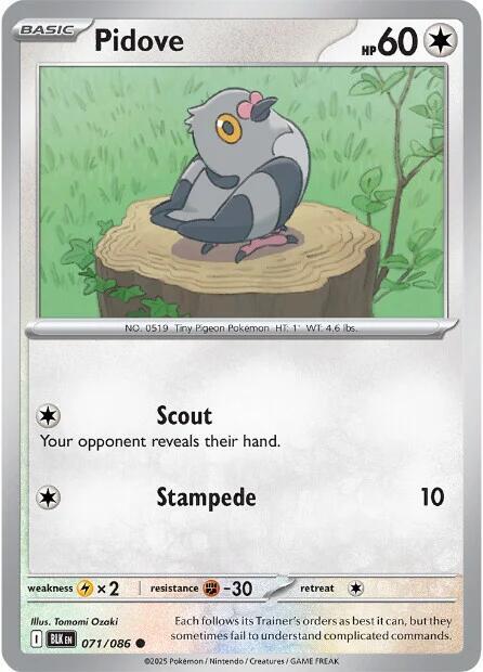 Pidove - 071/086 - Common