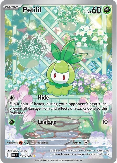 Petilil - 091/086 - Illustration Rare