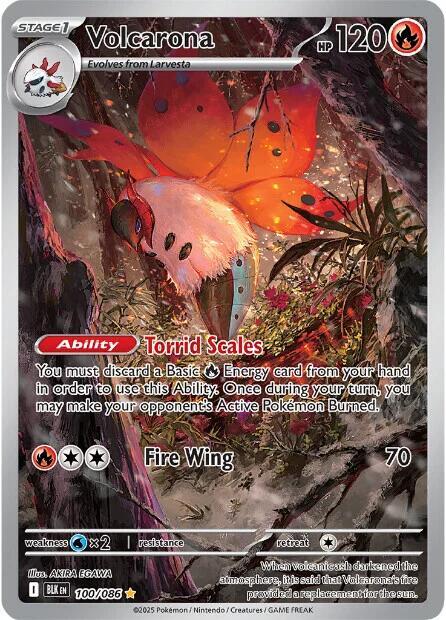 Volcarona - 100/086 - Illustration Rare
