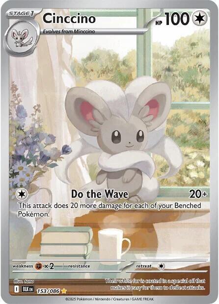 Cinccino - 153/086 - Illustration Rare
