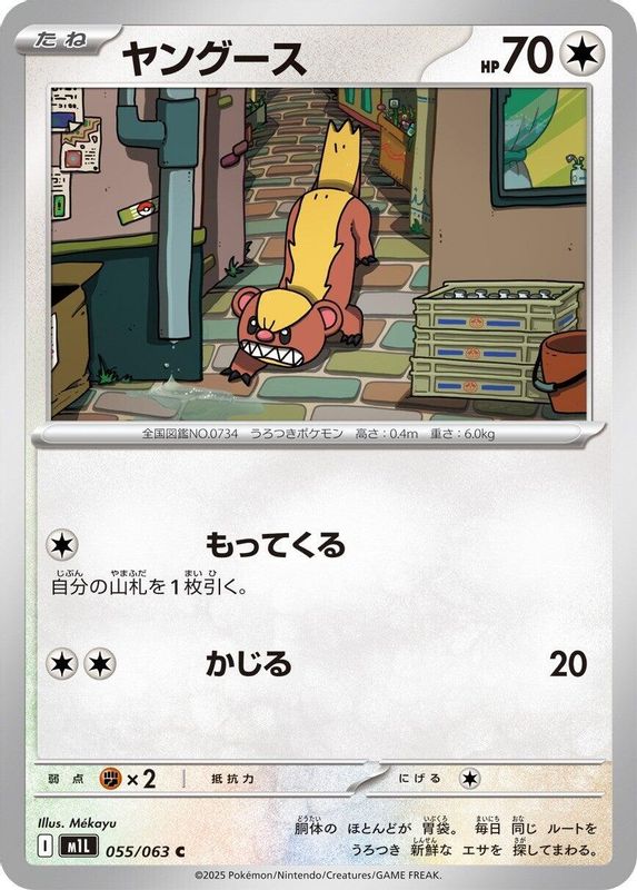 Yungoos (Japanese) - 055/063 - Common