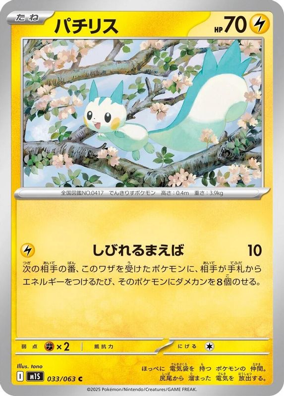 Pachirisu (Japanese) - 033/063 - Common