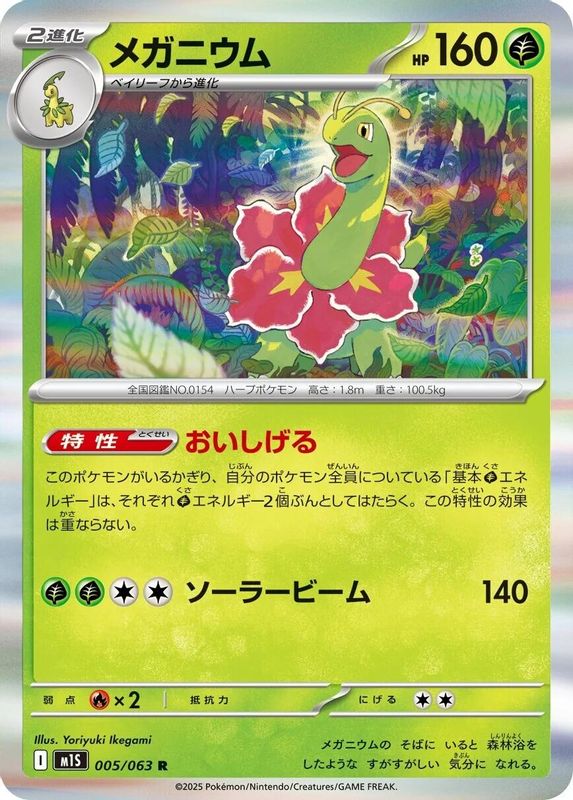 Meganium (Japanese) - 005/063 - Rare